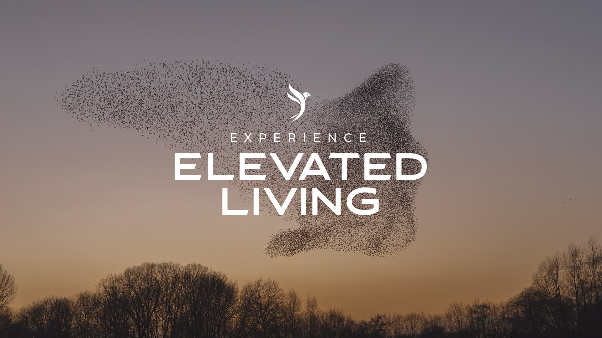 Swyft - Experience Elevated Living